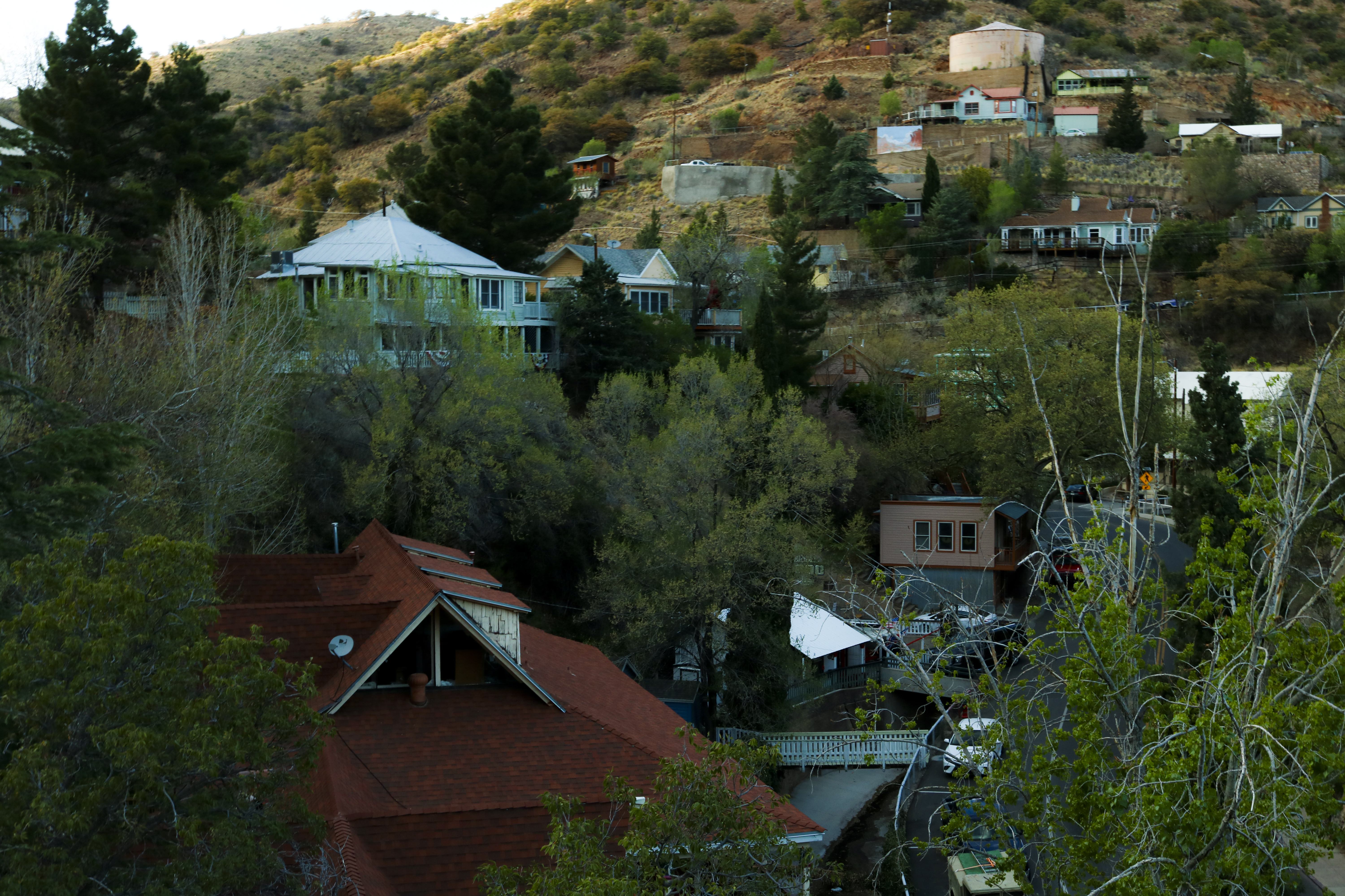 Green neighborhood in the mountains of Bisbee.